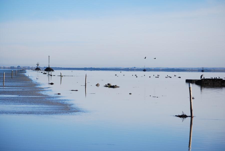 La passage du Gois à marée descendante - île de Noirmoutier - Angela Rembaud