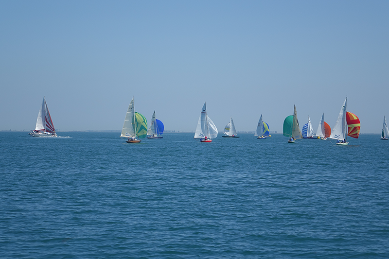 Semaine de la voile - île de Noirmoutier - Florian DSF Semaine de la voile - île de Noirmoutier - Florian DSF