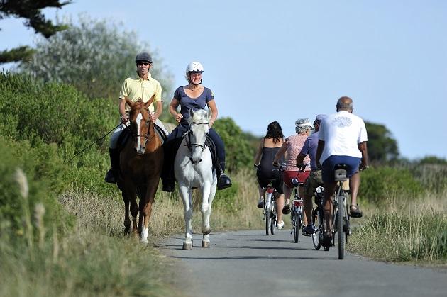 Balade à cheval - Activités sportives