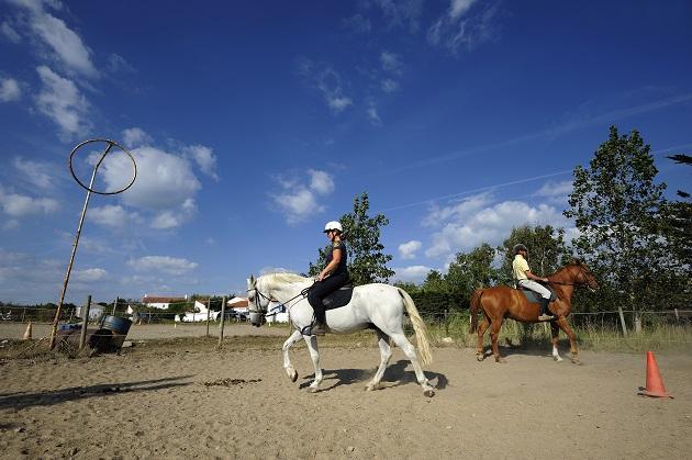 Centre équeste - Activités sportives