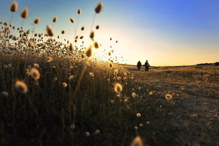 Balade nature © Pascal Beltrami