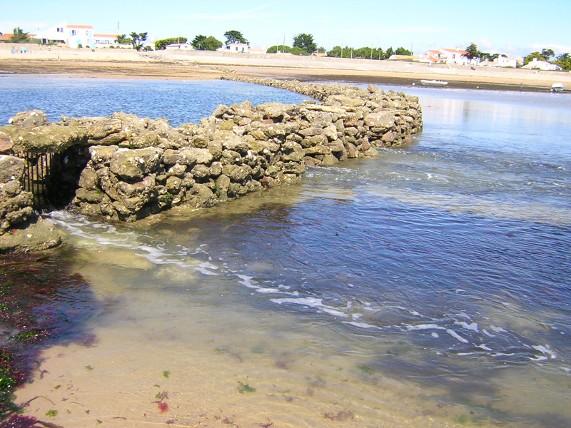Maison des Écluses à poissons et pêches traditionnelles