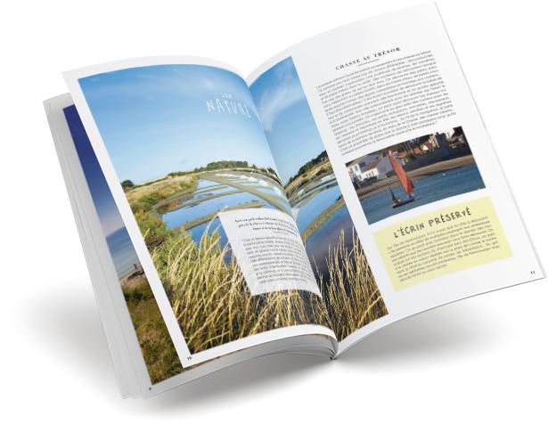 Mockup brochure 2020 Mockup brochure 2020