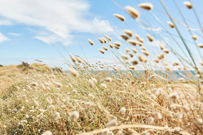 Dunes de la Guérinière © Alamoureux Dunes de la Guérinière © Alamoureux