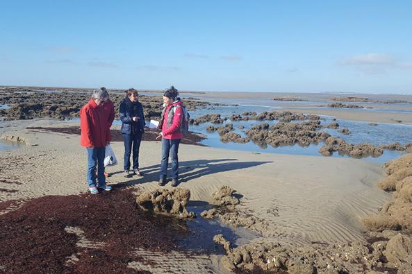 Randonnée guidée sortie nature île de Noirmoutier ©Marie Grué