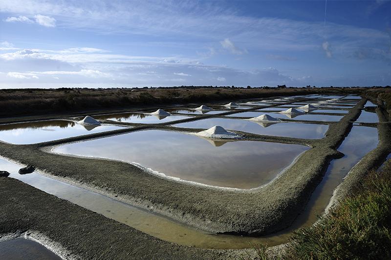 Marais Salants ©JS-Evrard