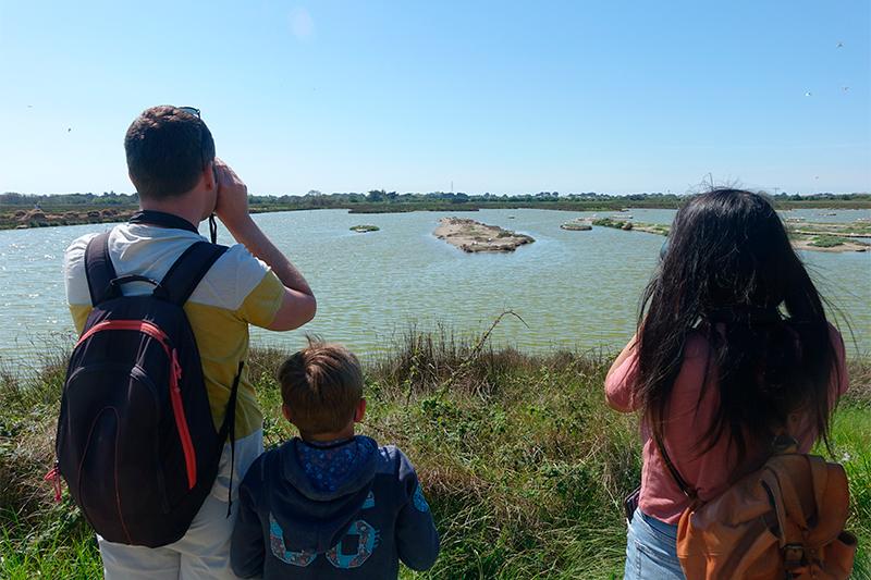 Visite LPO - Observation d'oiseaux ©Quentin Boulegon