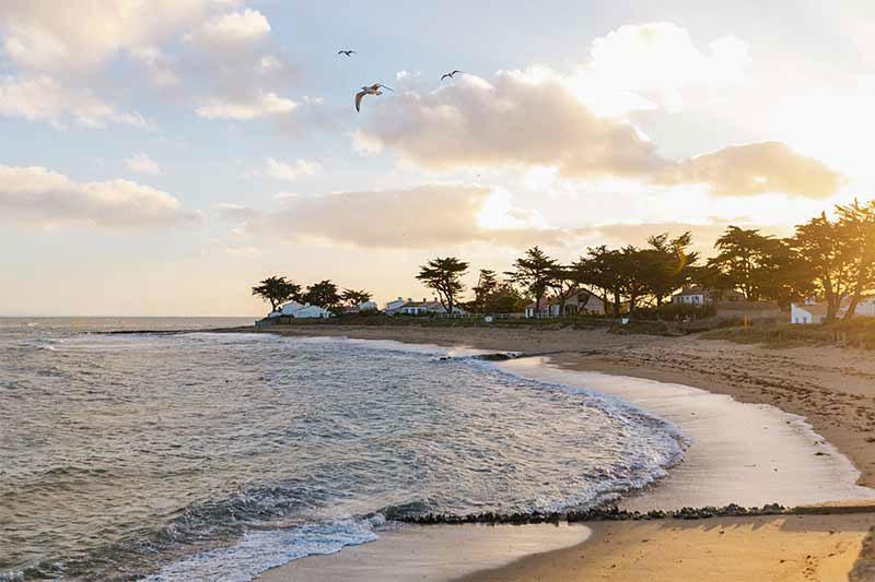 21 activités amusantes et actives à pratiquer à la plage avec les