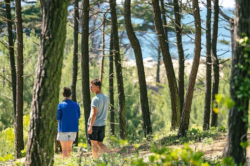 Balade bois des Eloux ©Office de Tourisme Ile de Noirmoutier - Vendée Expansion - Simon Bourcier