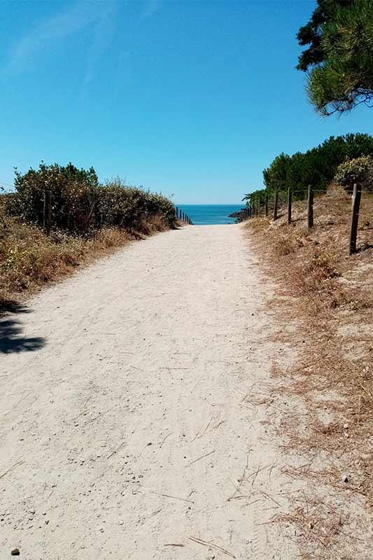 Balade guidée L'Epine entrée plage - Céline Brochet