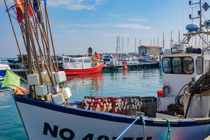 Bateaux de pêche au port de l'Herbaudière - Quentin Boulegon