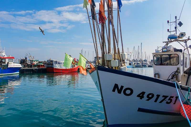 Bateaux de pêche port de l'Herbaudière - Quentin Boulegon