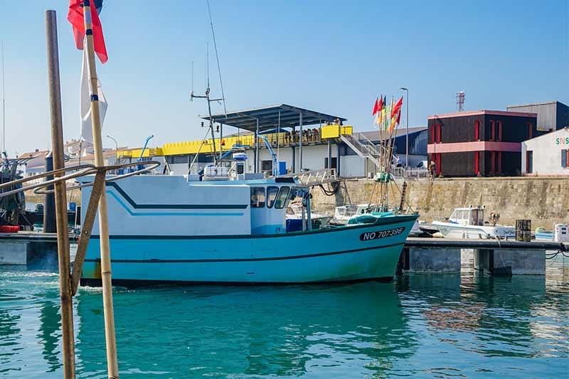 Criée du port de l'Herbaudière - Quentin Boulegon