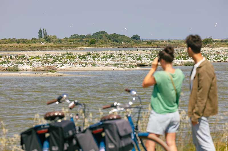 Observation oiseaux Polder de Sébastopol ©Office de Tourisme Ile de Noirmoutier - Vendée Expansion - Simon Bourcier