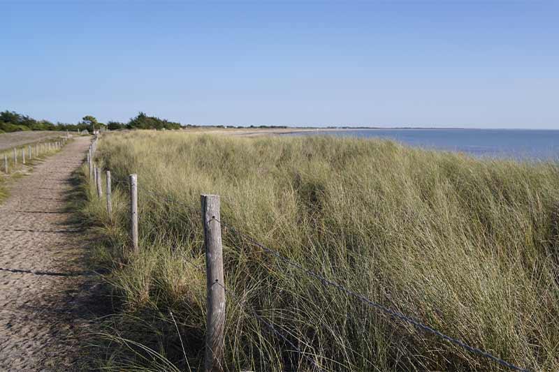 Plage de la Court La Guérinière - Quentin Boulegon