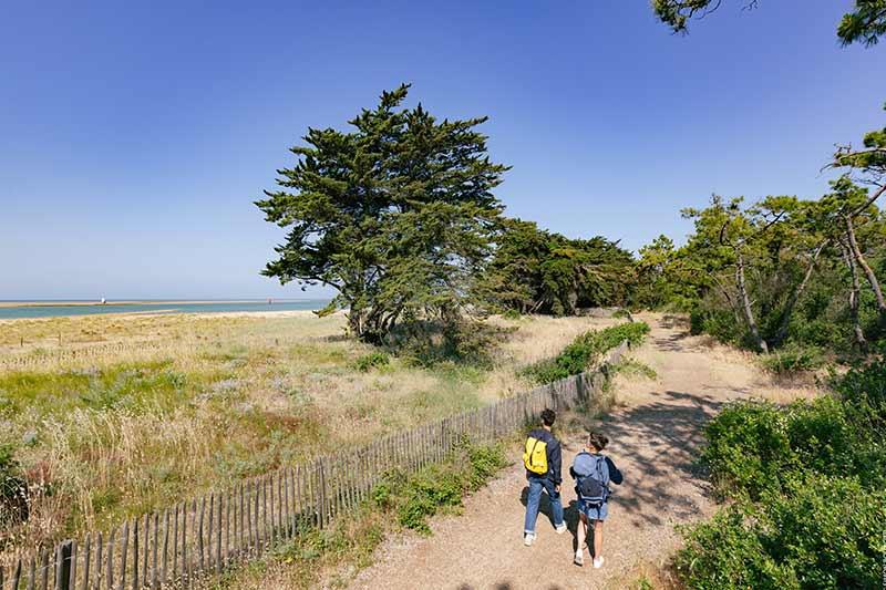 Pointe de la Fosse pinède Barbâtre ©Office de Tourisme Ile de Noirmoutier - Vendée Expansion - Simon Bourcier