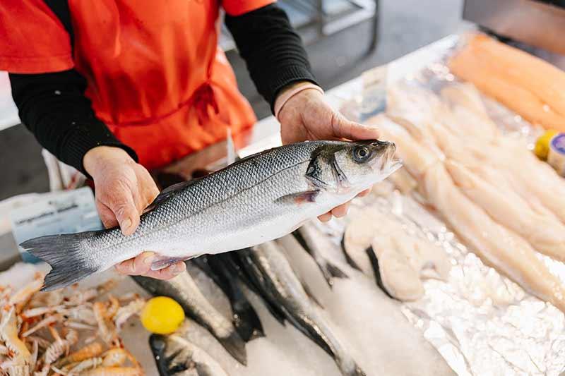 Poissons Noirmoutier - Trendz