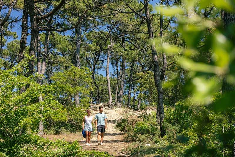 Promenade bois des Eloux ©Office de Tourisme Ile de Noirmoutier - Vendée Expansion - Simon Bourcier