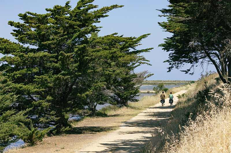 Réserve polder de Sébastopol ©Office de Tourisme Ile de Noirmoutier - Vendée Expansion - Simon Bourcier