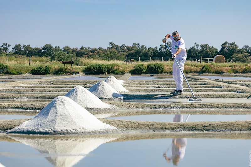 Saunier qui récolte du sel ©Office de Tourisme Ile de Noirmoutier - Vendée Expansion - Simon Bourcier