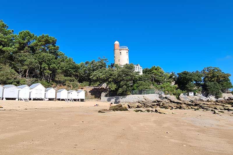 Visite guidée Bois de la Chaise plage de l'Anse rouge - Céline Brochet