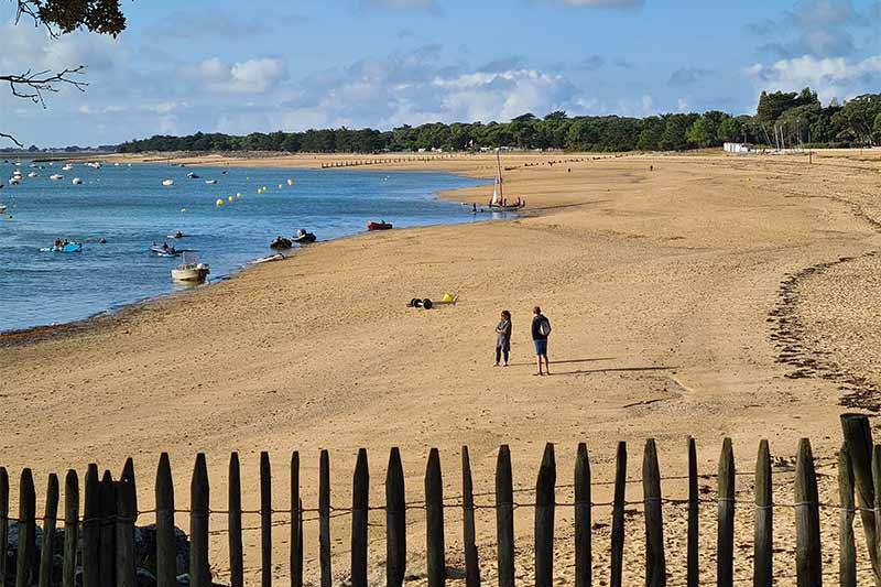 Visite guidée Bois de la Chaise plage des Sableaux - Céline Brochet