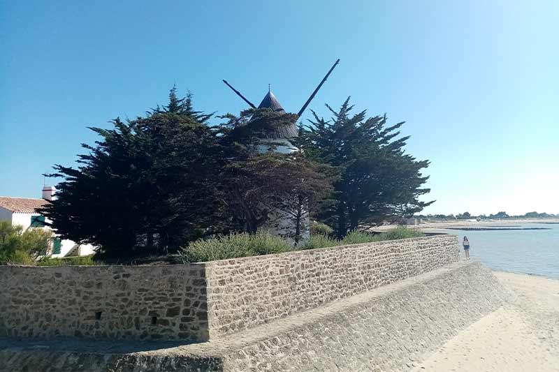 Visite guidée La Guérinière Moulin - Céline Brochet