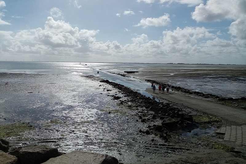 Visite guidée passage du Gois qui se recouvre- Céline Brochet