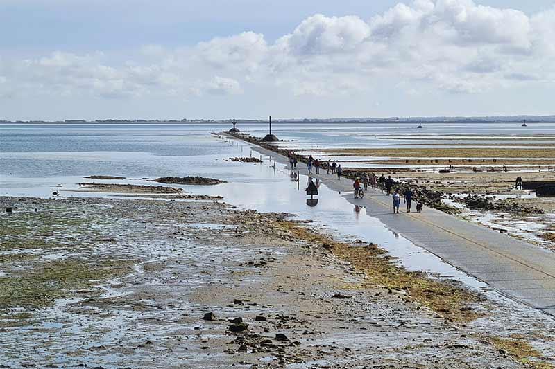 Visite guidée passage du Gois route - Céline Brochet