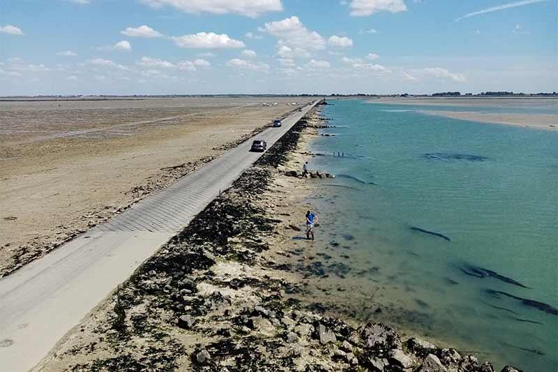 Visite guidée route passage du Gois - Céline Brochet