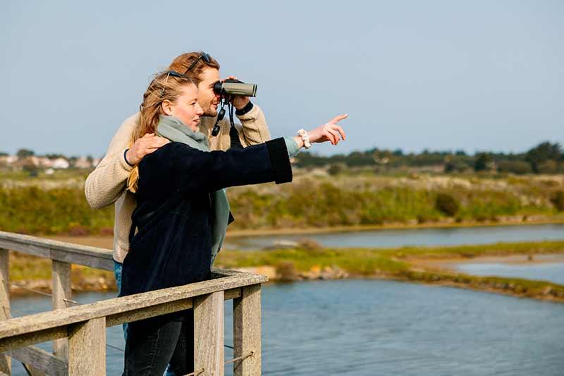 Observation oiseaux jumelles Marais de Müllembourg - Trendz