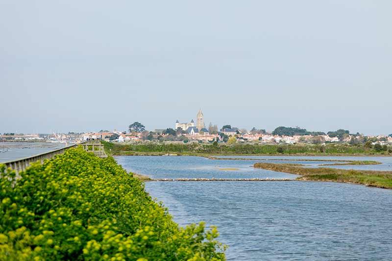 Vue sur Marais de Müllembourg - Trendz