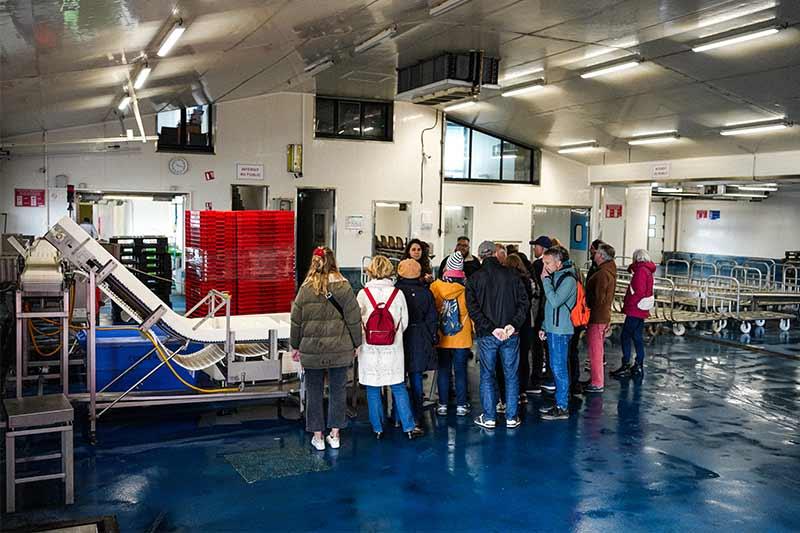 Visite guidée Criée du Port de l'Herbaudière - Quentin Boulegon