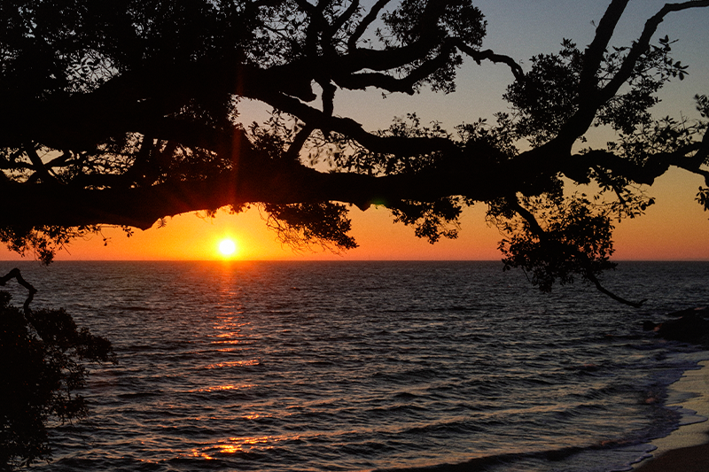 Lever de soleil plage de l'Anse rouge ©Léa Filisetti Lever de soleil plage de l'Anse rouge ©Léa Filisetti
