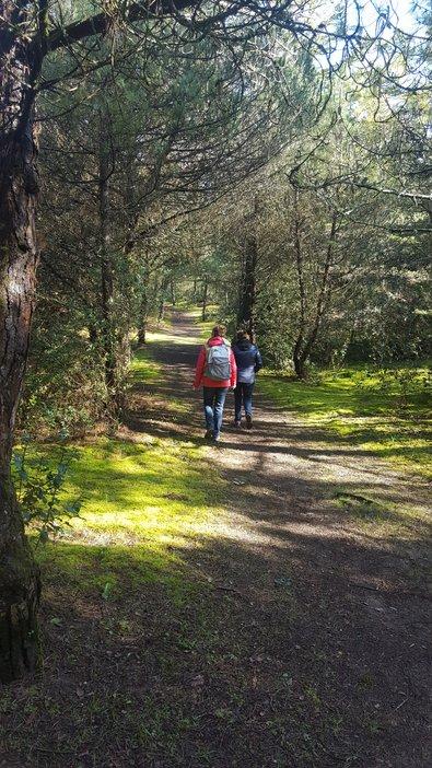 Balade Les portes de l'île Récif d'Hermelles - Marie Grué