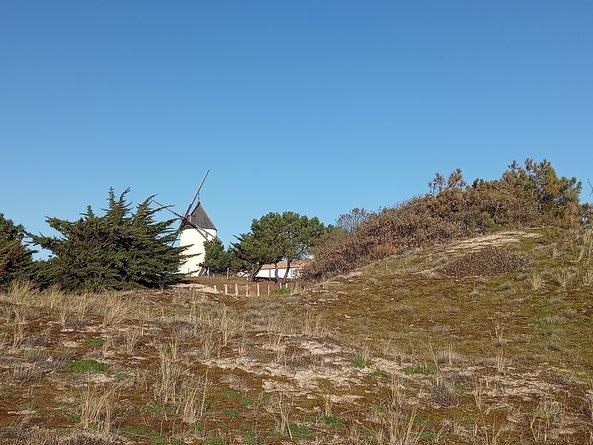 Dunes et moulin île de Noirmoutier - Marie Grué