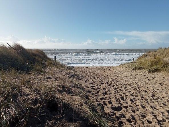 Entrée plage et dunes île de Noirmoutier - Marie Grué