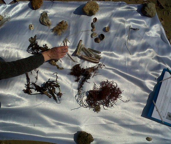 La palette de l estran île de Noirmoutier - Marie Grué