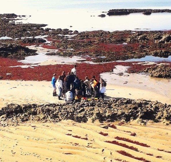 Sortie scolaire pêche à pied pédagogique île de Noirmoutier - Marie Grué