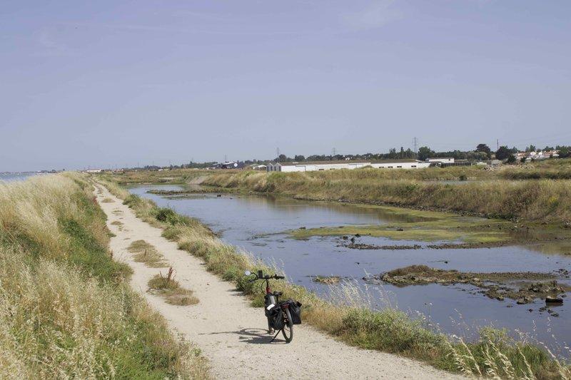 Balade en vélo guidée port du Bonhomme - Cépages et confidences