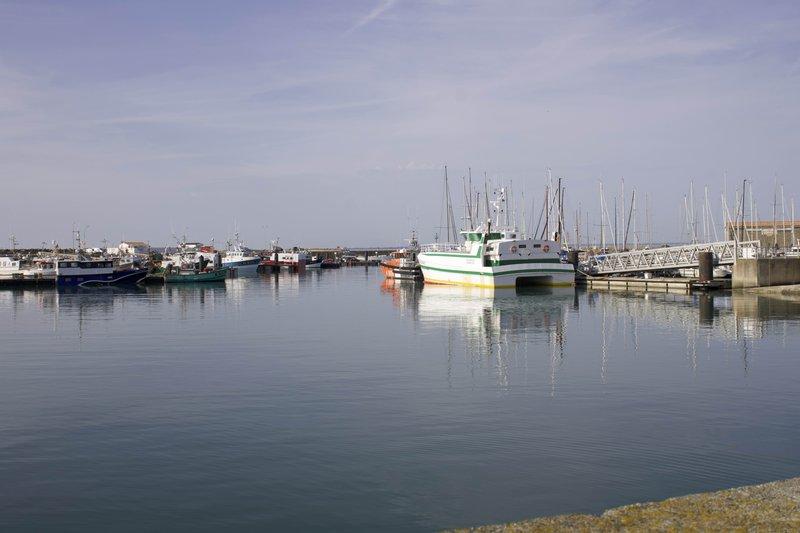 Balade en vélo guidée terroir - port de L'Herbaudière - Cépages et confidences
