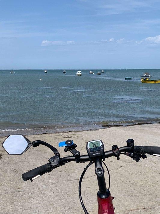 Balades à vélo guidée terroir - port du Bonhomme- Cépages et confidences