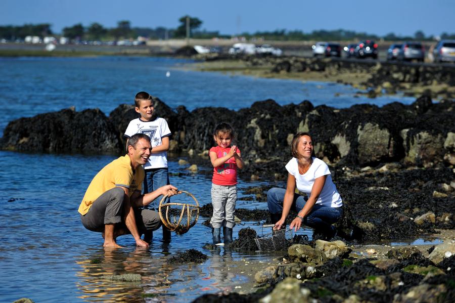 Pêche à pied sur l'île de Noirmoutier - JS Evrard