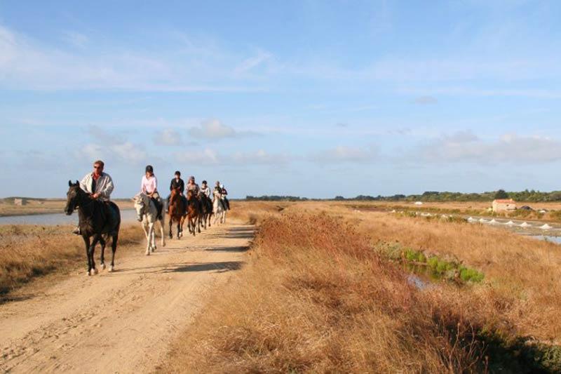 Balade à cheval © Horse club