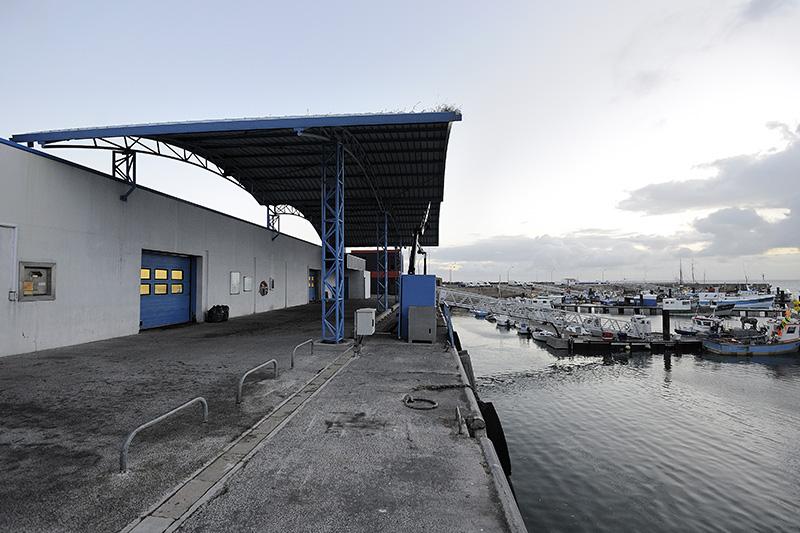 La criée du port de l'Herbaudière - ©JS Evrard