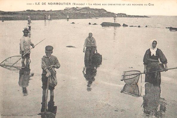 La pêche aux crevettes ©Les Amis de l’île de Noirmoutier