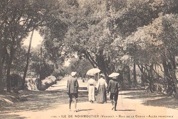 Promenade au Bois de la Chaise ©Les Amis de l’île de Noirmoutier