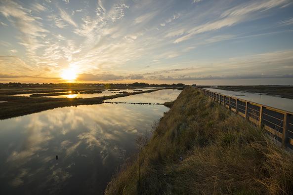 Lever de soleil au marais de Müllembourg ©Joncheray