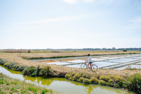 Balade à vélo – marais salant île de Noirmoutier ©Trendz