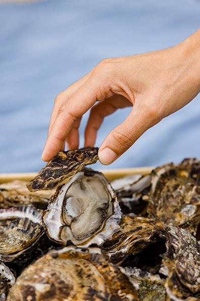 Huîtres île de Noirmoutier ©Trendz